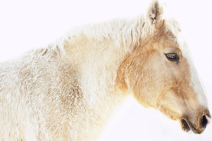 Jun Tagai photography capturing poetic everyday life in Hawaii. Fleeting moments of light, shadow, wonder, and memory.