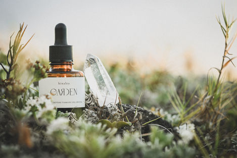 Commercial brand photo by Jun Tagai, featuring [product/service/team] in a creative Hawaii setting, designed to enhance brand identity and visual appeal