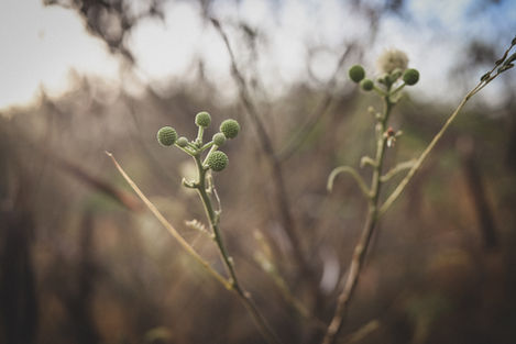 Early morning at Sandy Beach Park on Oahu, Hawaii, photographed during Jun Tagai’s Mornin’ Walks project observing the first