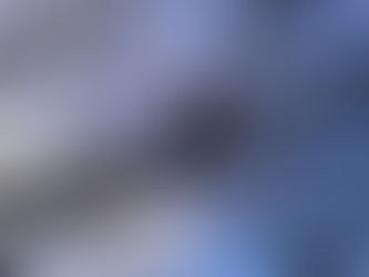 How to Spot a Dying or Damaged Tree in the South West