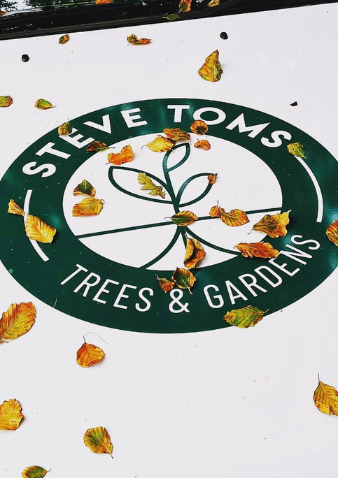 London Row Studio_Steve Toms Trees + Gardens_car.jpeg
