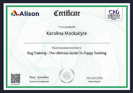certificate in dog training: the ultimate puppy guide