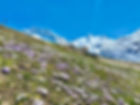 location_chalet_alpage_bessans_savoie.jpeg