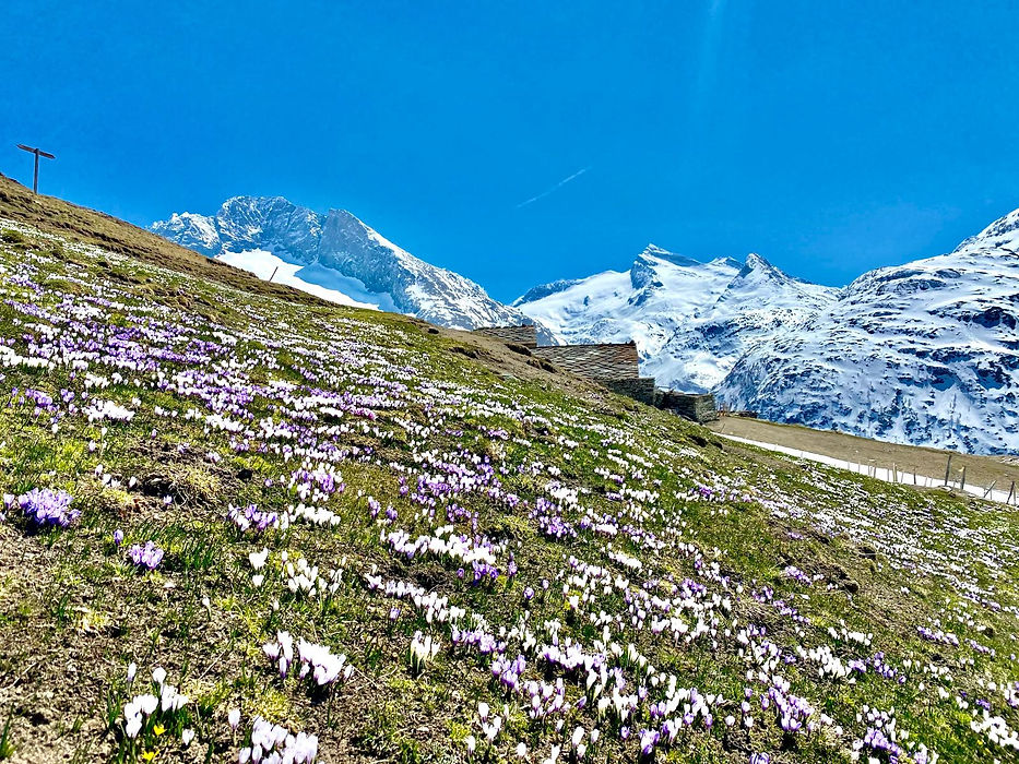 location_chalet_alpage_bessans_savoie.jpeg