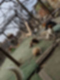 MVIMG_20190222_132548