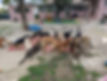 PXL_20220905_120349433