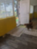 PXL_20220515_121428747