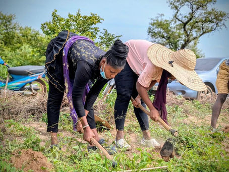 Deux participantes appliquent les techniques d'agriculture de conservation lors d'une formation pratique organisée par Leading Change Africa au Burkina Faso, utilisant des outils agricoles pour préparer le sol de manière durable.
