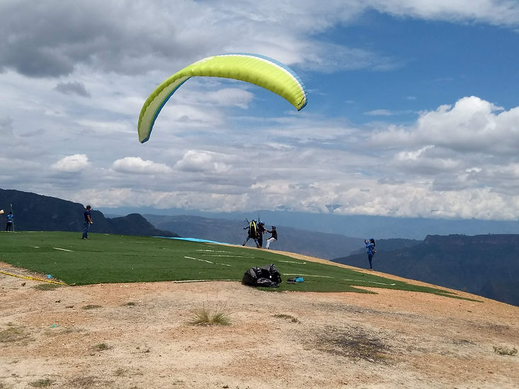 IMG_20190713_114558154.jpg