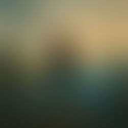 AI in Mid Life - The Quiet Hesitation 