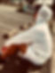 S__16588886_edited.jpg