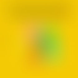 ¿Qué pasa cuando la diversidad es llevada al extremo? 