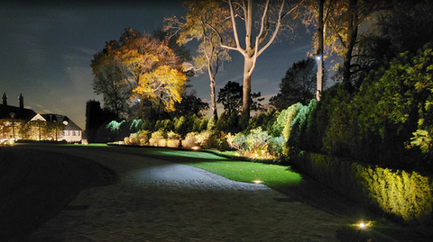 Landscape Lighting