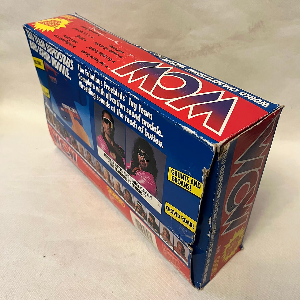 Thumbnail: Fabulous Freebirds Tag Team and Sound Module 1991 Hornby Galoob WCW