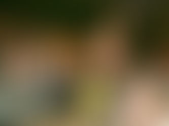 Everyone Can Strip, Not Everyone Can Be a Stripper