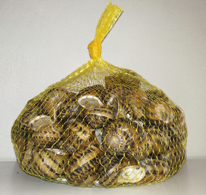 1 Kg Helix Aspersa "Prodotto Naturale"