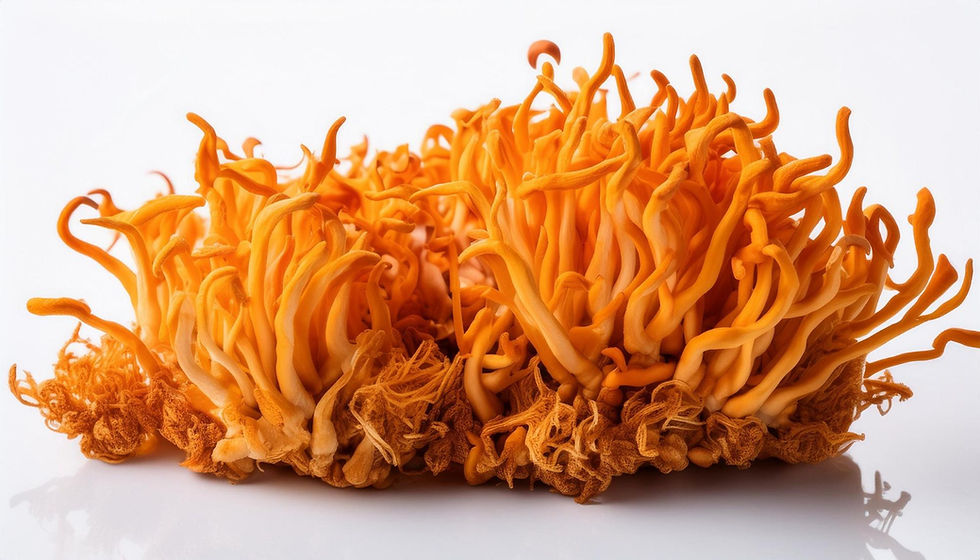 Meet Cordyceps: The Mushroom That Thinks It's a Superhero