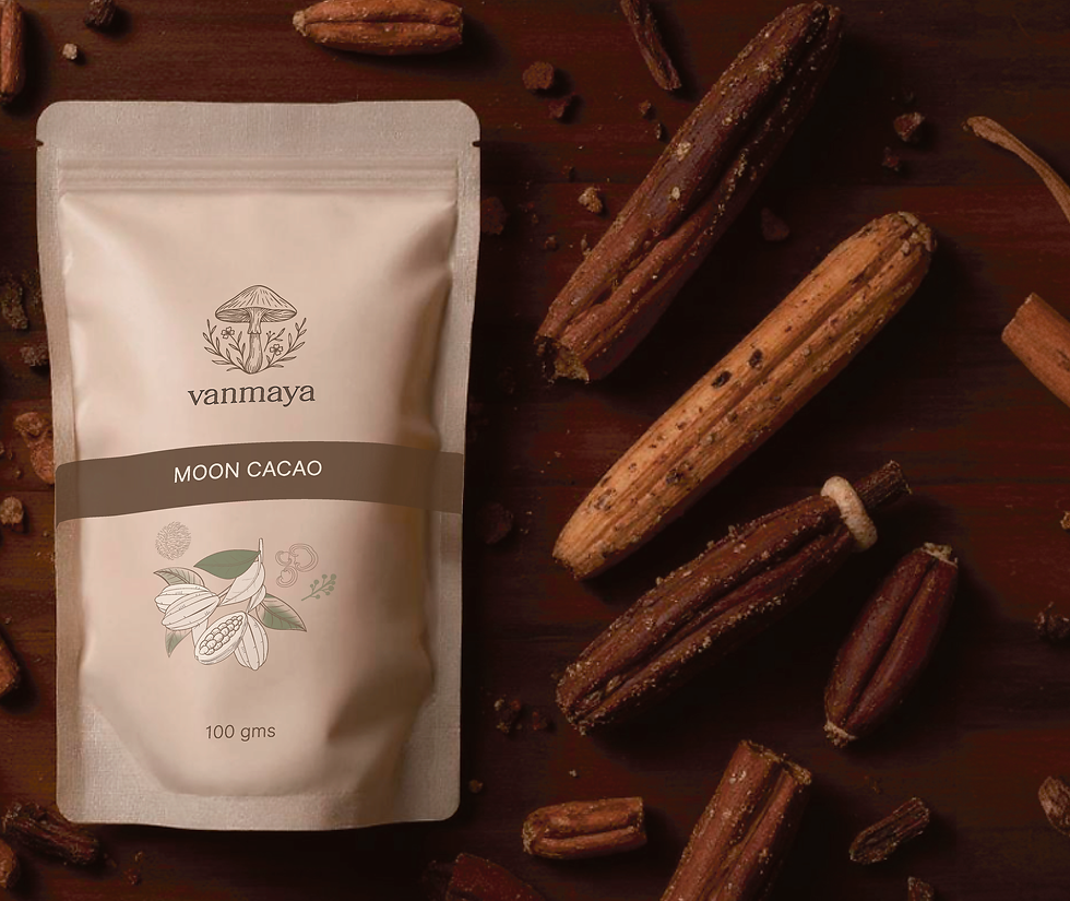Vanmaya-Moon-Cacao-Header.png