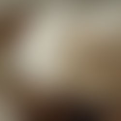 Lion’s Mane: The Brainy Mushroom from the Forest