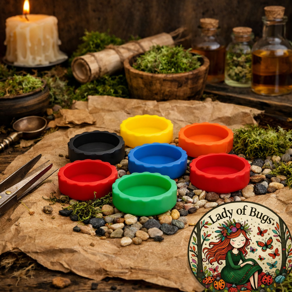 Small Food & Water Bowl — 3 cm Silicone Dish