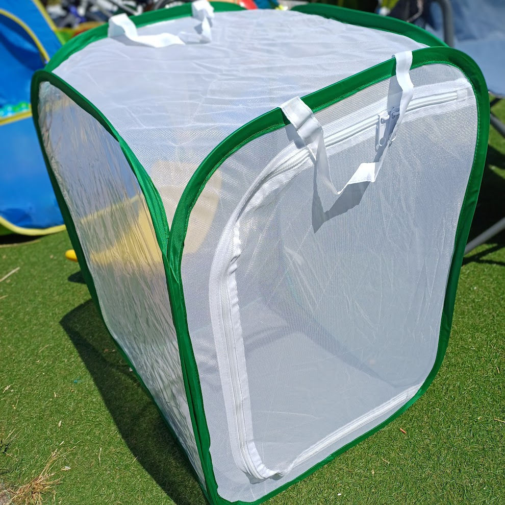 Mesh Insect Enclosure - 40×40×60