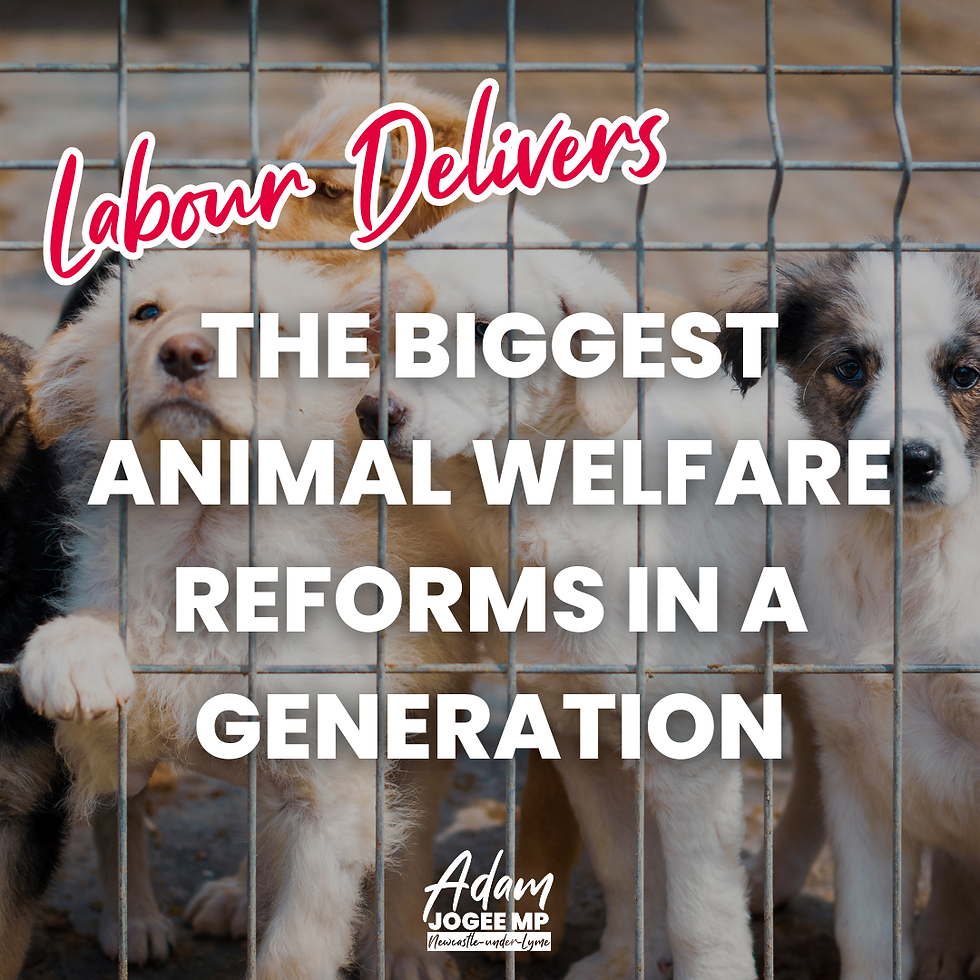 The Biggest Animal Welfare Reforms in a Generation