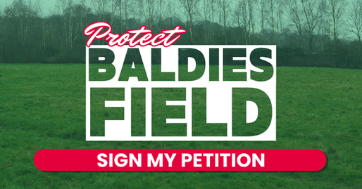 Sign My Petition to Protect Baldies Field