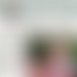 Personally Speaking: 'National game will be protected by new law'