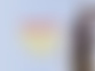 Legal AI Software Options 2026