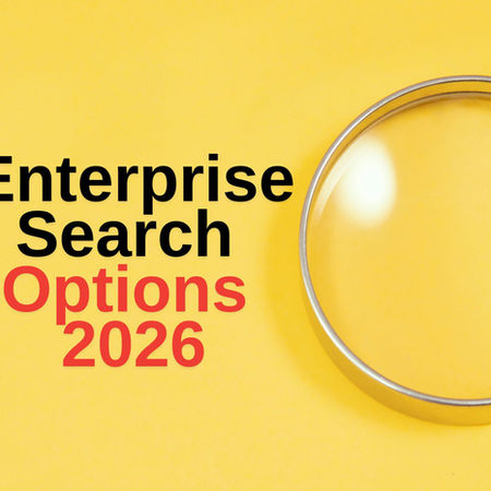 Enterprise Search Options 2026