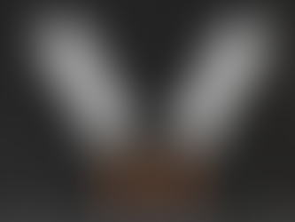 How DO YOU make your final vendor selection?