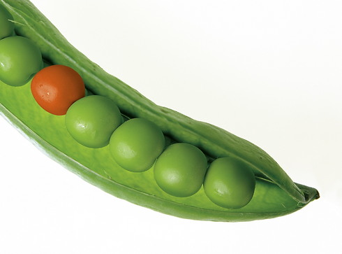 Copy of NO RFP (1080 × 800px) (47).png