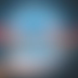 Data Software Options 2026