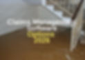 Claims Management Software Options 2026.jpg