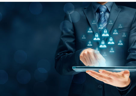 Data Quality Software Options