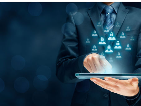 Data Quality Software Options