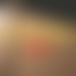 Digital Employee Experience Software