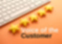 Voice of the Customer.jpg
