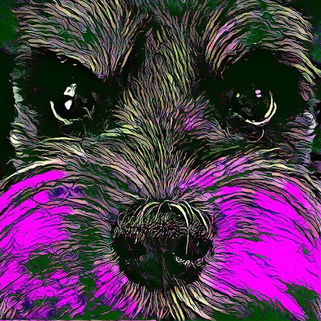 Os melhores artistas revelam sua fonte de criatividade