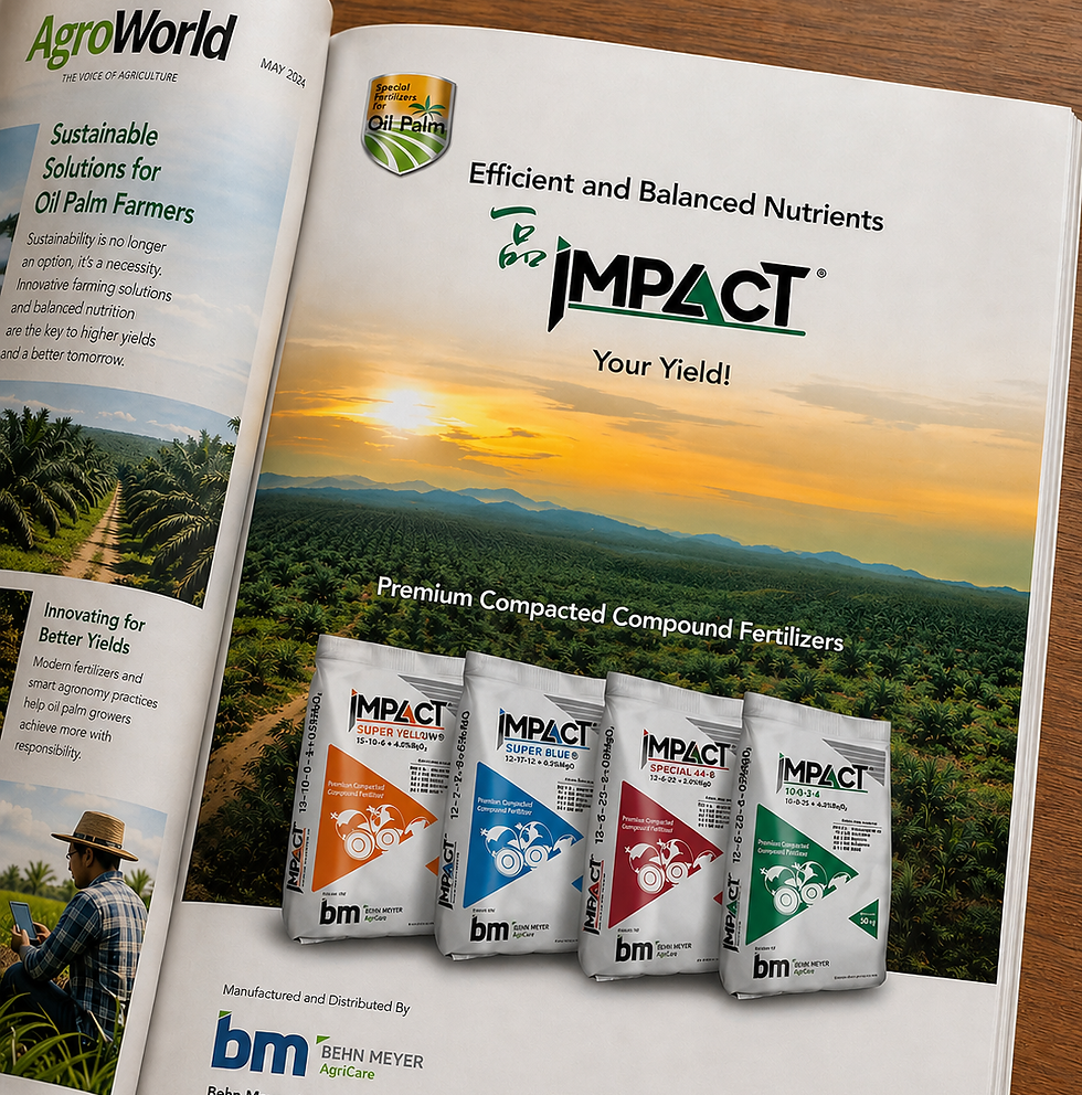 BM Impact ad