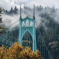 Resized_AdobeStock_177046201.jpg