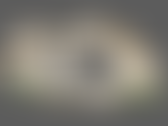 Creating the Photogrammetry Meshes