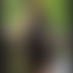 Meet the Face of OB Great: How Our Influencers and Tutors are Redefining Support