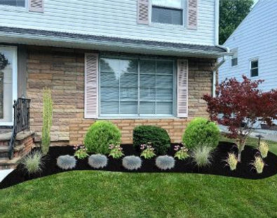 Landscape design