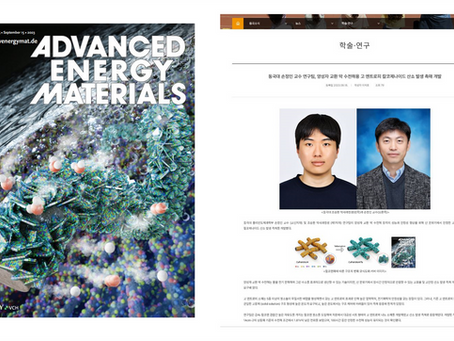 New accepted paper in 'Advanced Energy Materials'