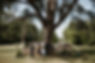 Alex-and-Sam-499.jpg