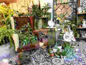 סטודיו שיר קולטון לשמלות כלה - שד' וושינגטון ת"א צילום : ירון צור לביא