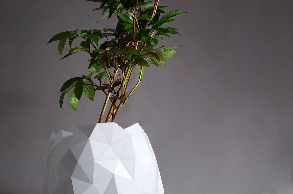 GROWTH | STUDIO AYASKAN