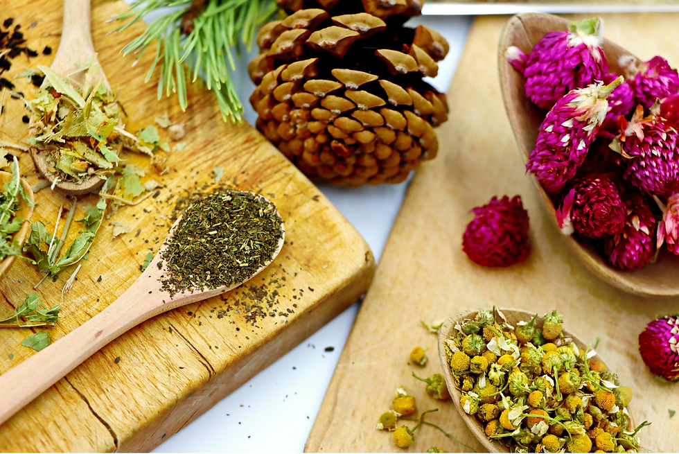 herbshop.png