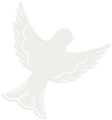 lr-logomark-filled-ivory-rgb-1000px-h-144ppi.png
